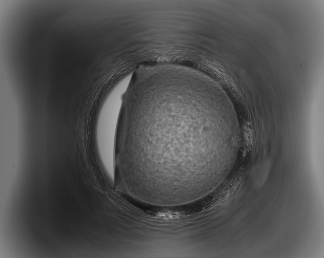 X0000097800691200803201357