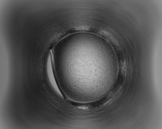 X0000097800692200803201357