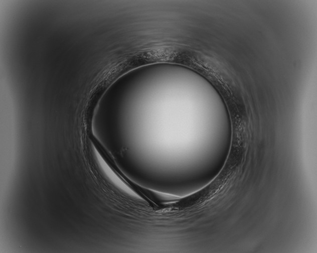 X0000097800693200803201357