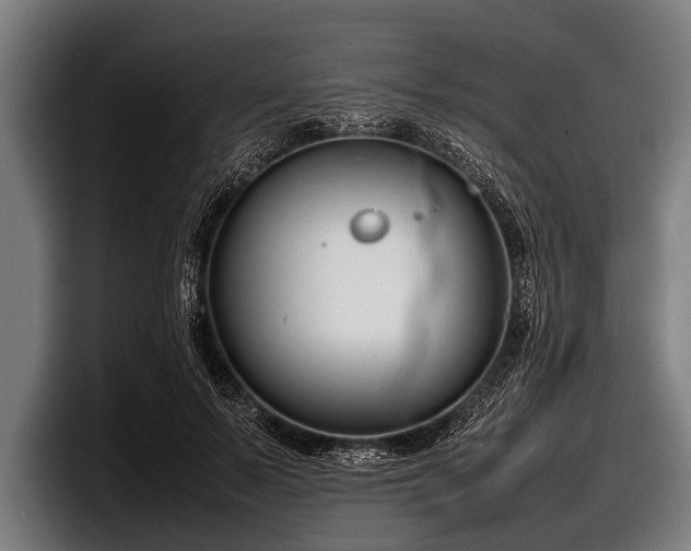 X0000097800695200803201357