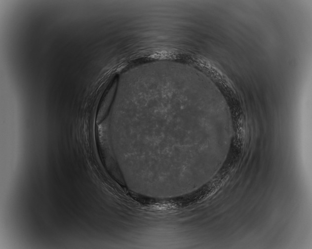 X0000097800696200803201357