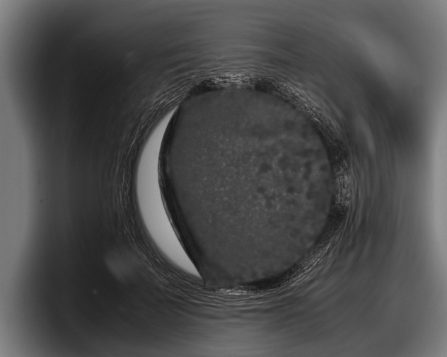 X0000097800699200803201357