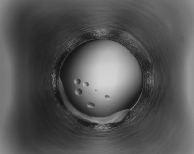 X0000097800700200803201357