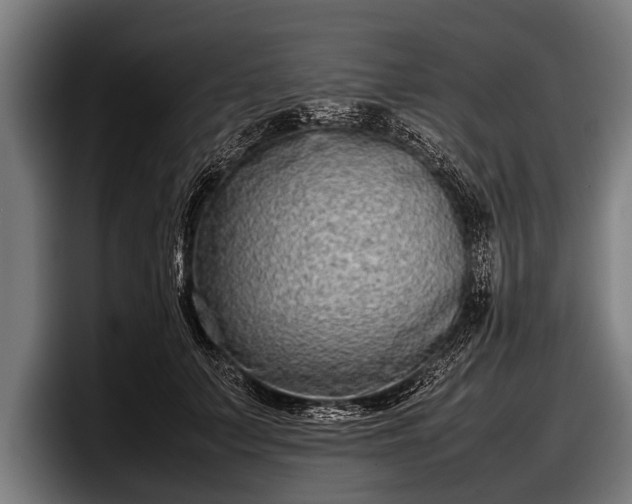 X0000097800703200803201357