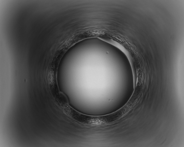 X0000097800704200803201357