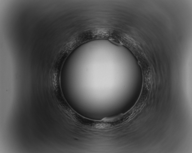 X0000097800708200803201357