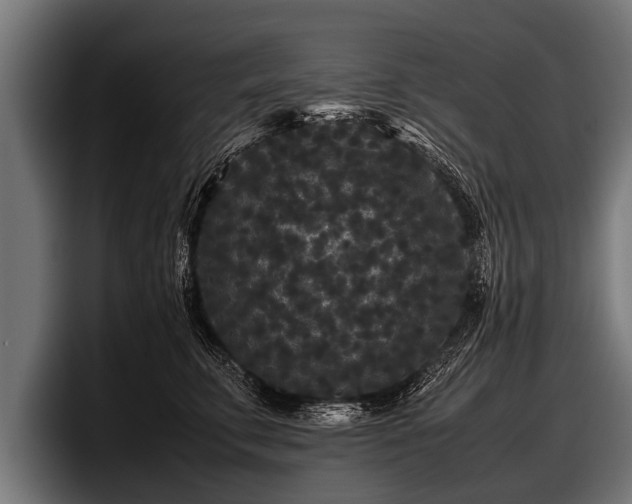 X0000097800711200803201357