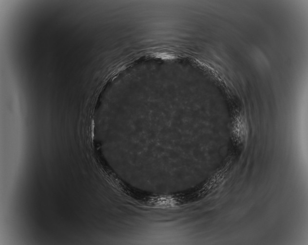 X0000097800715200803201357