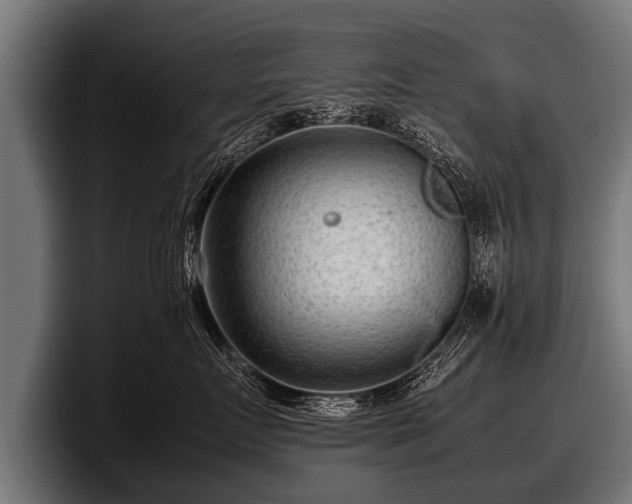 X0000097800719200803201357