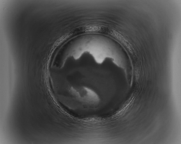 X0000097800721200803201356