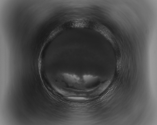 X0000097800722200803201356