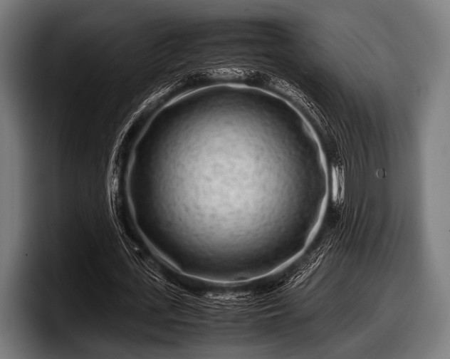 X0000097800723200803201356