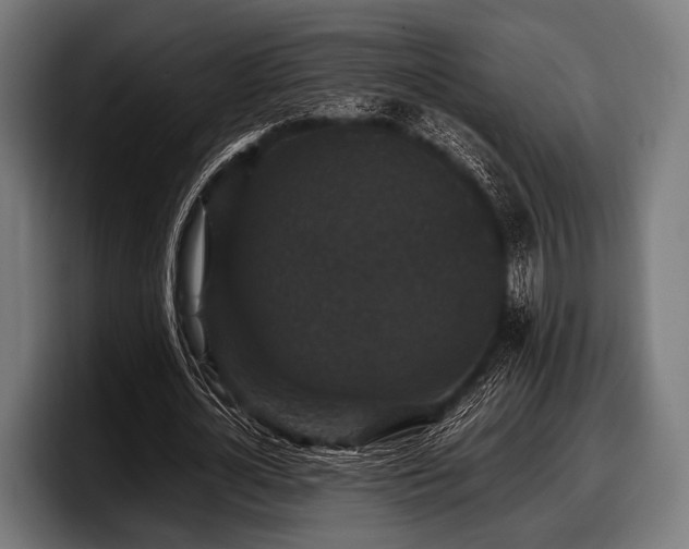 X0000097800724200803201356