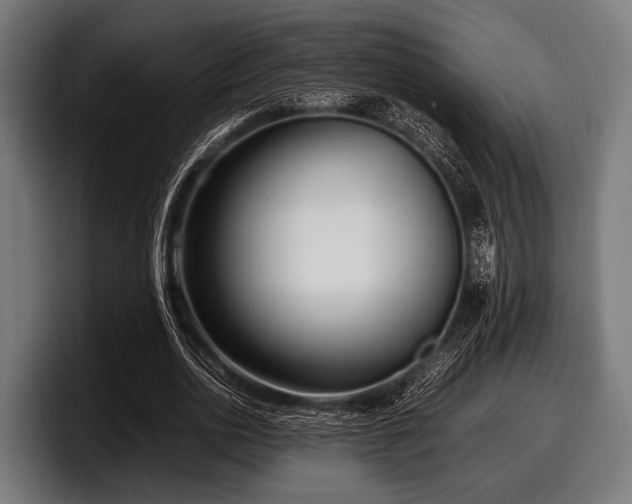 X0000097800726200803201356