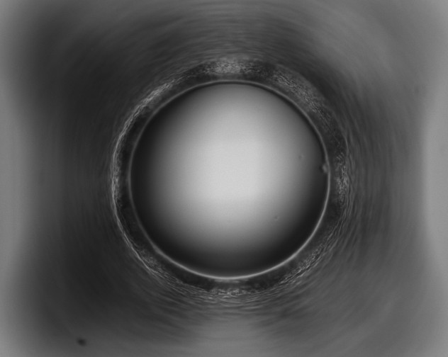 X0000097800728200803201357