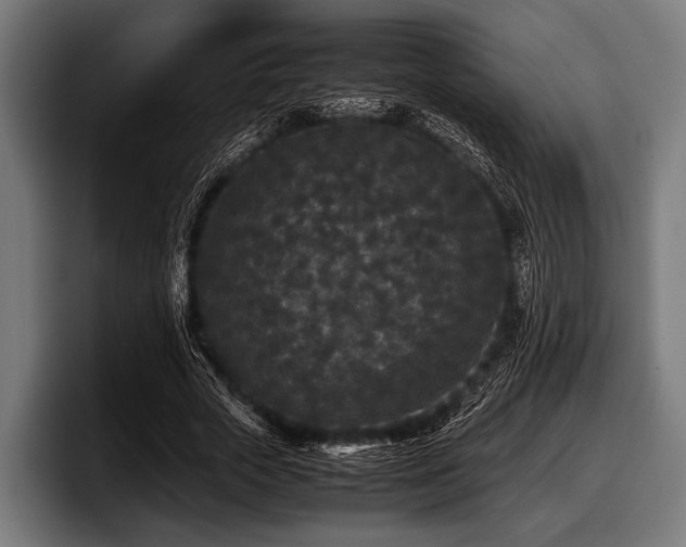 X0000097800729200803201357