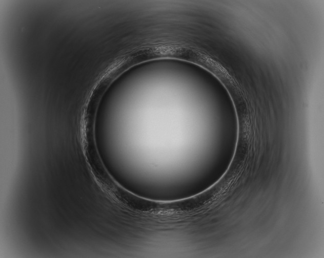 X0000097800730200803201357