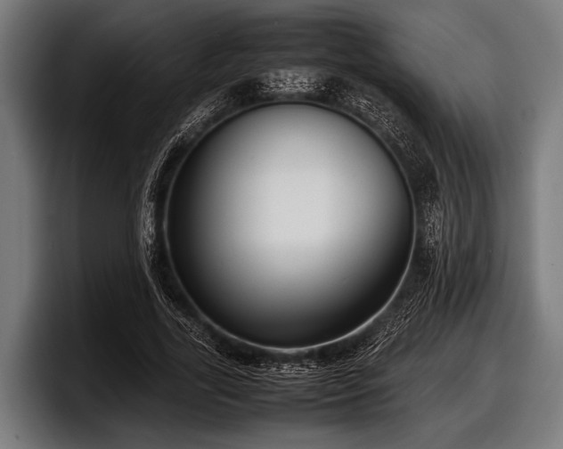 X0000097800731200803201357