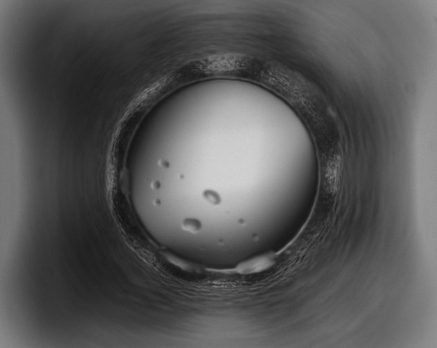 X0000097800732200803201357