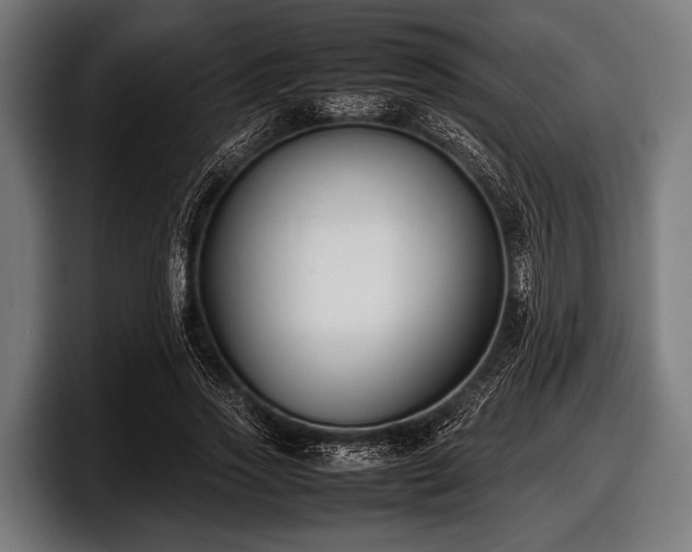 X0000097800733200803201357