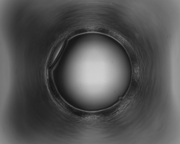 X0000097800734200803201357