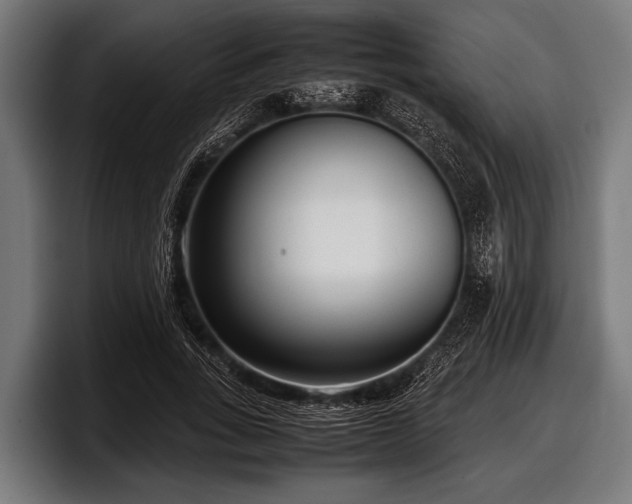 X0000097800735200803201357