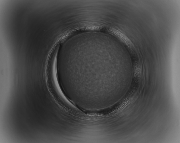 X0000097800736200803201357