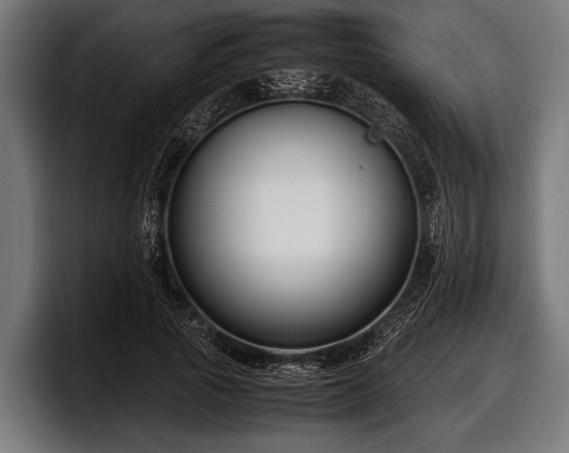 X0000097800737200803201357