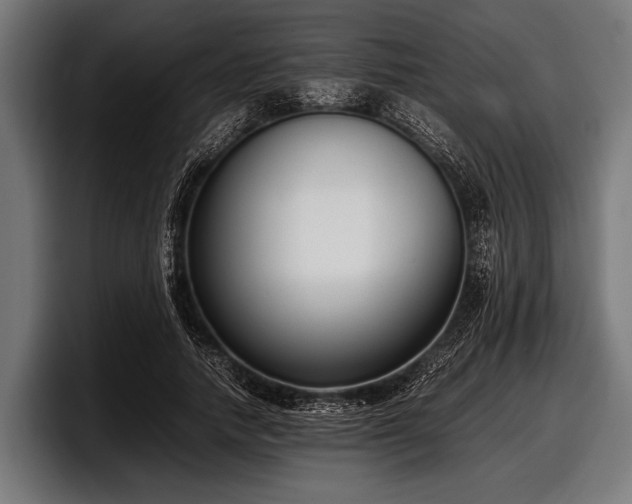 X0000097800738200803201357