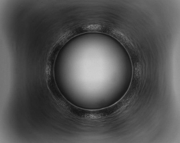 X0000097800739200803201357