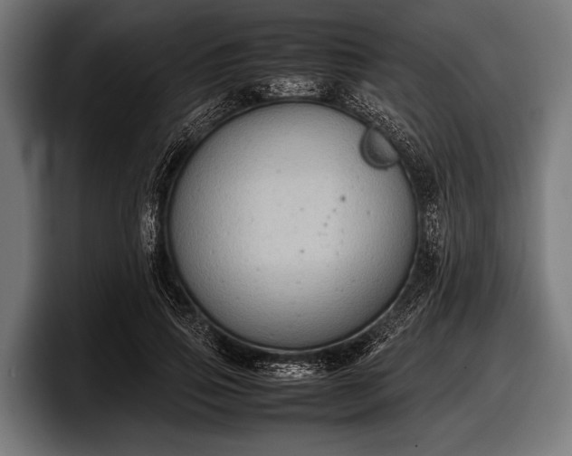 X0000097800741200803201357