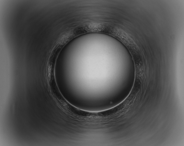 X0000097800742200803201357