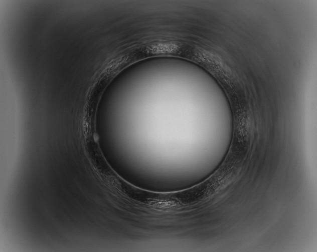 X0000097800743200803201357