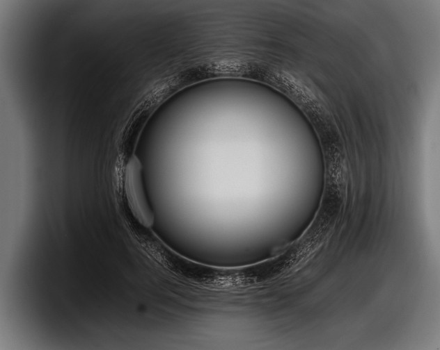 X0000097800744200803201357