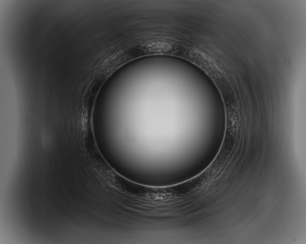 X0000097800745200803201357