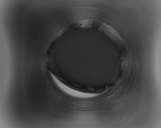 X0000097800748200803201357