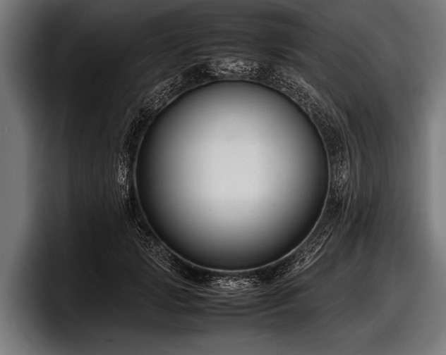 X0000097800749200803201357