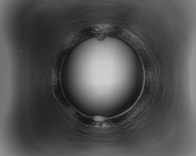 X0000097800751200803201357