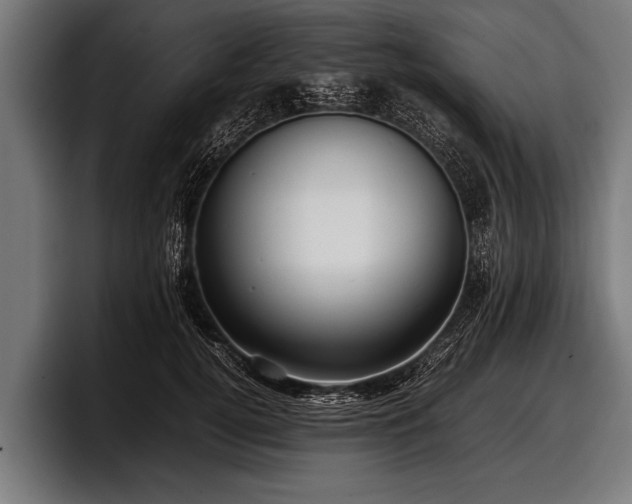 X0000097800752200803201357