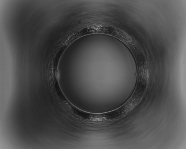 X0000097800754200803201357