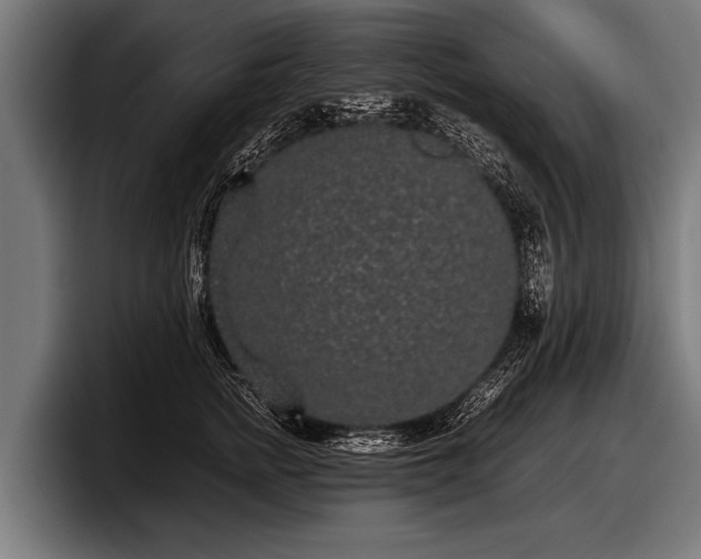 X0000097800758200803201357