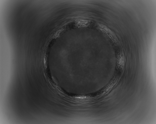 X0000097800759200803201357