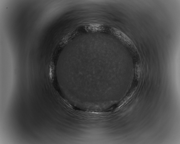 X0000097800760200803201357