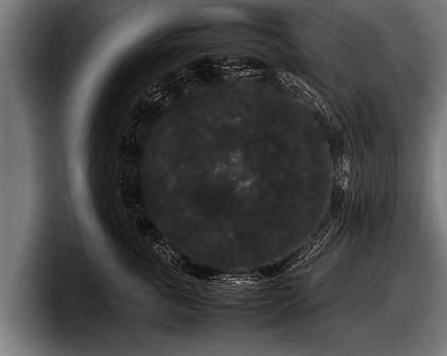 X0000097800763200803201357