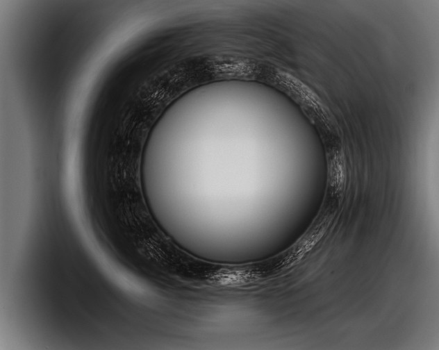 X0000097800764200803201357