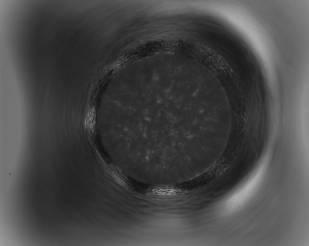 X0000097800767200803201357