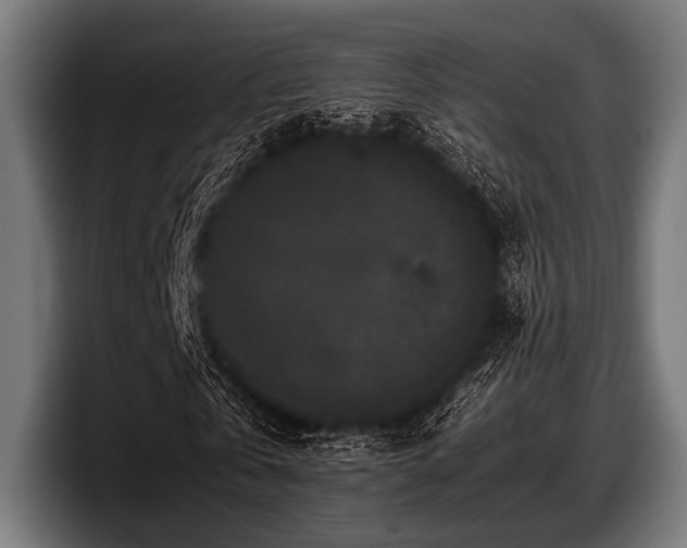 X0000097800769200803201356