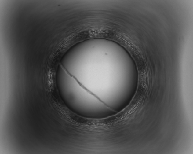 X0000097800770200803201356