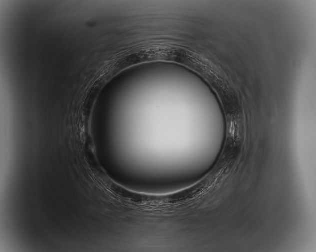 X0000097800771200803201356