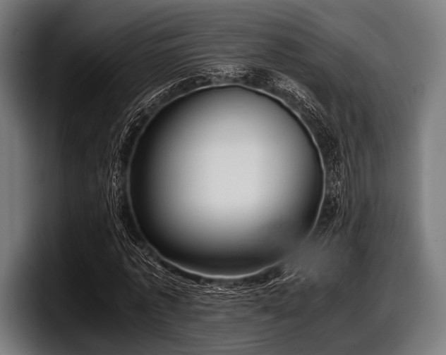 X0000097800773200803201356